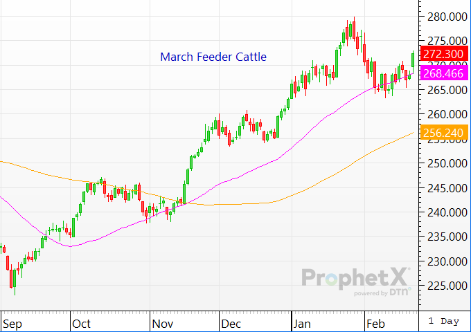 After trading mostly lower over the last month, cattlemen are hopeful the complex has seen enough down pressure and will again resume its upward trend. (DTN ProphetX Chart)