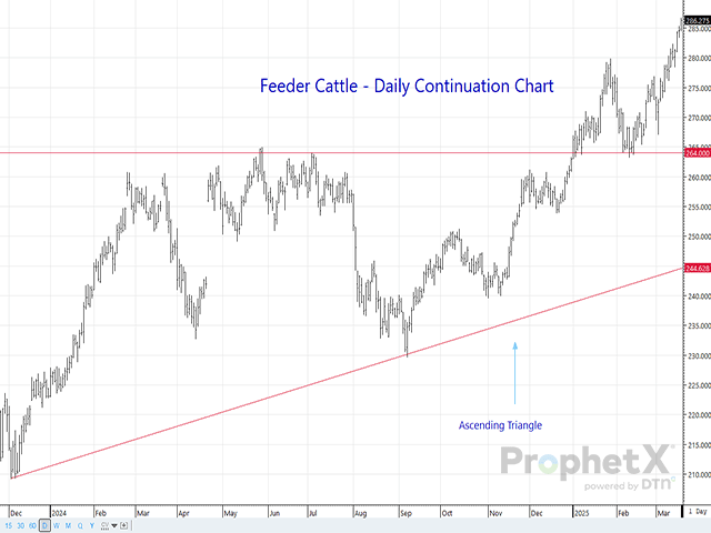 As feeder cattle futures hit record highs, this daily version of the continuation chart (each bar is a day) provides a textbook example of what you want to see from an ascending triangle formation, much to the delight of cattle producers. (DTN ProphetX chart)