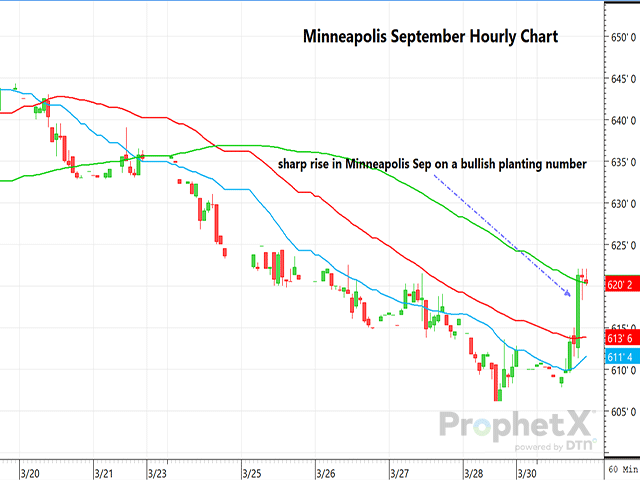 This chart shows the post-report rally in Minneapolis new-crop September wheat futures on an hourly chart, following the surprisingly large drop in spring wheat acres to be planted. (DTN ProphetX chart by Dana Mantini)