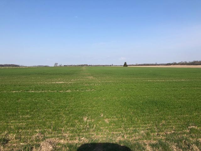 Spring is here. With so much swirling around us, from U.S. trade policies to the Canadian election to whatever weather happens, have those standing grain markets orders ready, advises DTN Contributing Analyst Philip Shaw. (DTN photo By Philip Shaw)