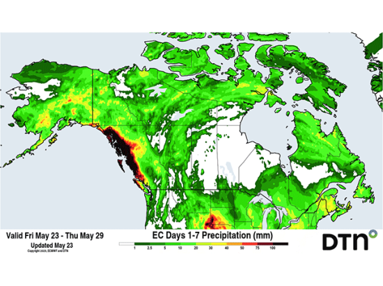 Very little rainfall is expected for the next week in the Canadian Prairies. (DTN graphic)