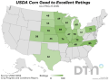 This map shows corn condition ratings by state, according to USDA NASS estimates released Tuesday. (DTN graphic by Kathy Myers)