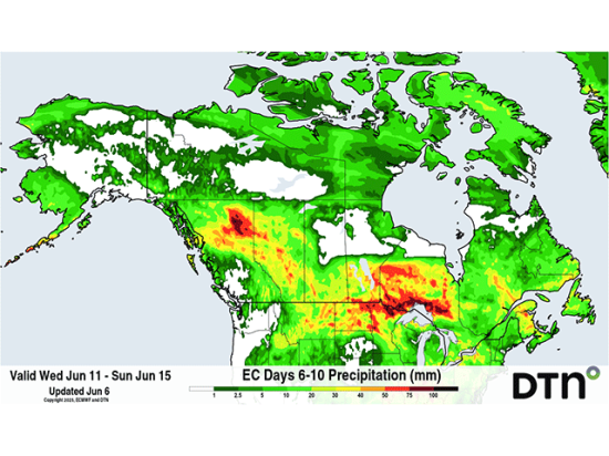 There is more rainfall forecast for the region in the extended range between June 11-15. (DTN graphic)