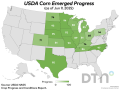 This map shows corn emergence by state, according to USDA NASS estimates released Monday. (DTN graphic by Kathy Myers)