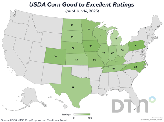 This map shows corn good-to-excellent ratings by state, according to USDA NASS estimates released Monday. (DTN graphic by Kathy Myers)