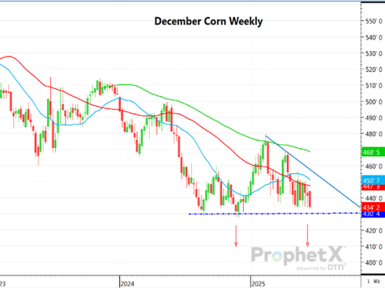 This is a daily chart of December corn futures showing the vulnerable support area and little below that. (DTN ProphetX chart)
