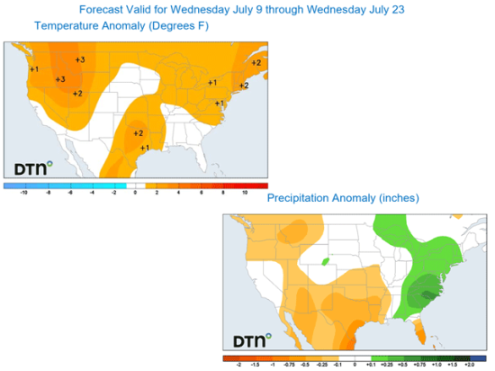 The forecast going into the middle of July still shows few signs of hot and dry conditions for the middle of the country. (DTN graphics)