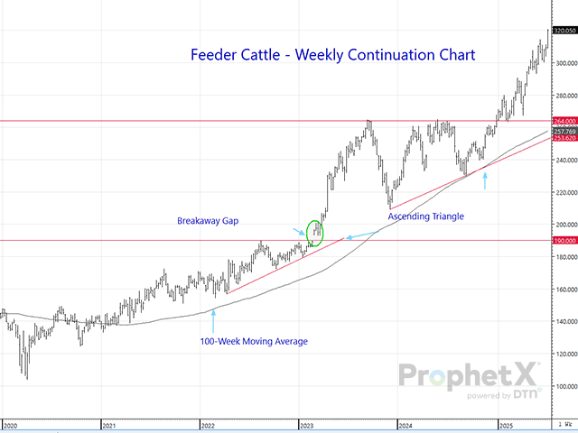 Hindsight is always 20/20. But the feeder cattle ascending triangle target being reached with the latest push into record highs is such an accomplishment, it's worth a second look at the original Feb. 10 analysis to reinforce the benefits of such work. (DTN ProphetX chart)