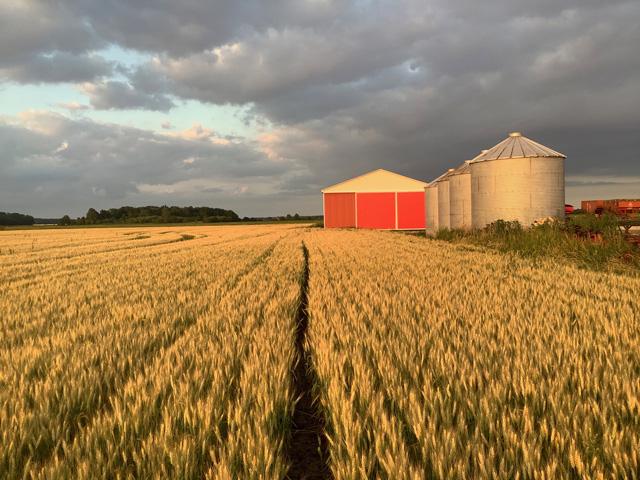 DTN Contributing Analyst Philip Shaw compares what farmers get from either side of the Canada-United States border for government program support and tax differences. (DTN photo by Philip Shaw)