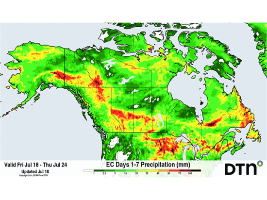 The forecast rainfall for the Canadian Prairies looks good for the majority of the region over the next seven days, but will it pan out? (DTN graphic)