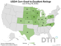 This map shows good-to-excellent condition ratings for corn by state, according to USDA NASS estimates released Monday. Nationwide, the corn crop was rated 71% in good-to-excellent condition, down 1 percentage point from 72% the previous week. (DTN graphic by Kathy Myers)