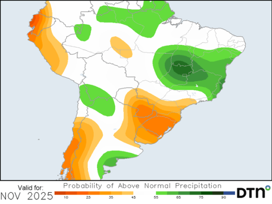 DTN is predicting a rather dry southern Brazil and much of Argentina for the month of November, a flip from the current pattern. (DTN graphic)