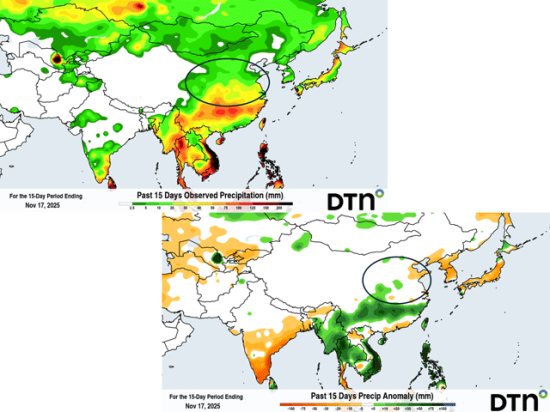 North China Plain wheat seeding progress has received a big boost during November with rainfall totals of no more than 1.5 inches after flooding amounts in October. (DTN graphics)