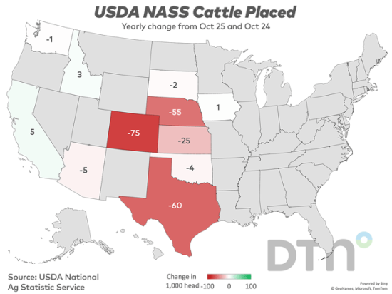This chart shows state-by-state changes in cattle placements in feedlots from October 2024 to October 2025. (Source: USDA; map by Kathy Myers)