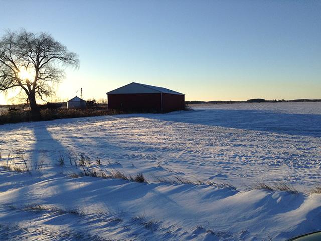 With snow and winter winds blowing and a large part of the Ontario corn crop still out, it's time to focus on the marketing plan. (DTN photo by Philip Shaw)