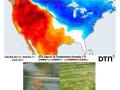 A forecast cold wave over the U.S. Corn Belt during mid-December will be deadly for southern rust. Tar spot, however, will likely survive and be ready to propagate in the right conditions during 2026. (DTN graphic; southern rust photo by Mario Carrillo; tar spot photo by Golden Harvest Hybrids)