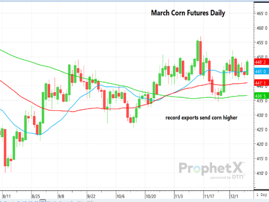 This is the daily chart for March 2026 corn, showing the reaction to better-than-expected corn exports and the resulting cut in ending stocks in Tuesday&#039;s WASDE report. (DTN ProphetX chart)