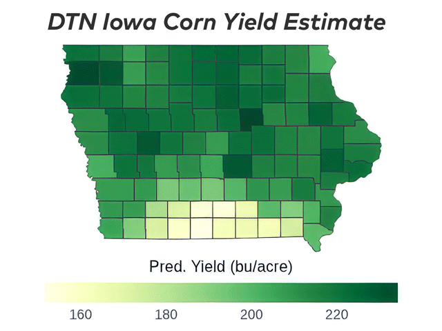 Grundy County in north-central Iowa is forecast to lead the state with an average corn yield of 234.3 bushels per acre (bpa). Decatur County in south-central Iowa is projected to have the lowest county-average yield, at 151.5 bpa. (DTN map by Scott Williams)