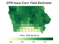 Grundy County in north-central Iowa is forecast to lead the state with an average corn yield of 234.3 bushels per acre (bpa). Decatur County in south-central Iowa is projected to have the lowest county-average yield, at 151.5 bpa. (DTN map by Scott Williams)