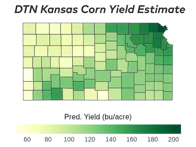 Doniphan County in northeast Kansas is forecast to lead the state with an average corn yield of 207.1 bushels per acre (bpa). Hamilton County in southwest Kansas is projected to have the lowest county average yield at 48.4 bpa. (DTN map by Scott Williams)