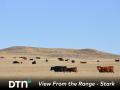 The Stark family monitors the grass in their eastern Montana pasture throughout the year to ensure their cows have enough nutrition. (DTN/Progressive Farmer photo by Kassidy Bremer)