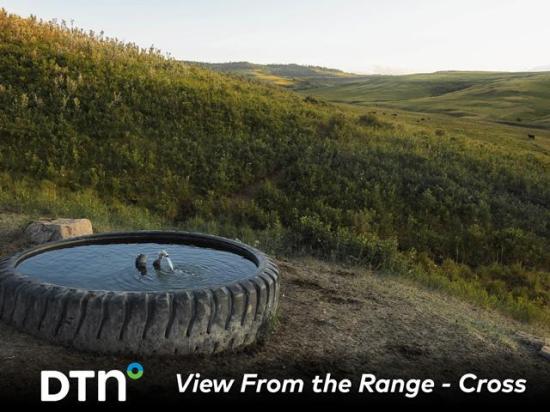 Spring-fed water tanks provide water for cows at Cross Cattle Company in Albert, Canada. (Photo courtesy of Certified Angus Beef)