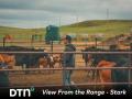 Tristan Stark looks over a group of cattle during branding time on the ranch. The calves are all given vaccines at this time. (Photo courtesy of Travis Lopes)
