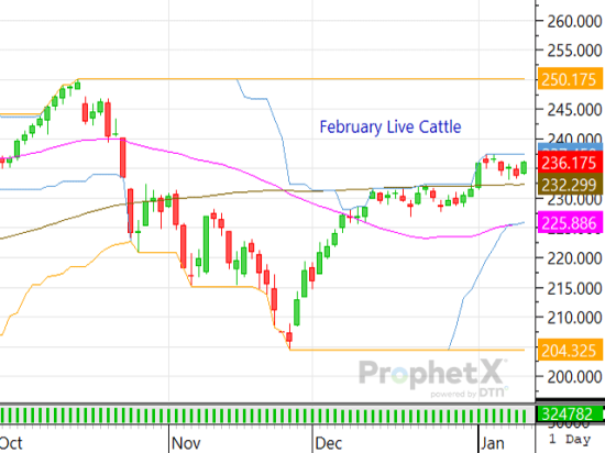 Both boxed beef prices and fed cash cattle prices traded higher last week. Even so, traders remain cautious not to overdo the market's technical rally. (DTN ProphetX chart)