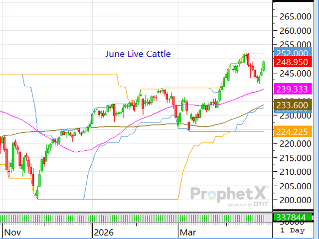 If the board continues to rally and beef demand improves, there's hope the fed cash cattle market could also trade higher. (DTN ProphetX chart)