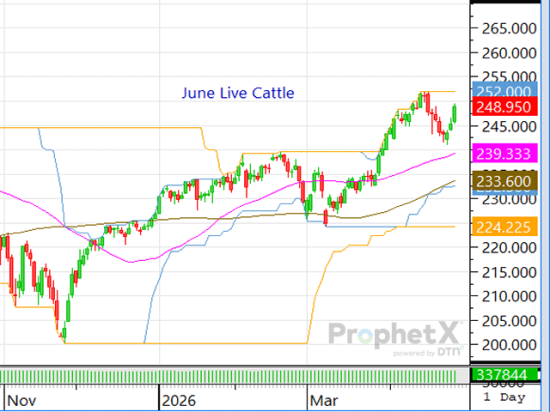 If the board continues to rally and beef demand improves, there's hope the fed cash cattle market could also trade higher. (DTN ProphetX chart)
