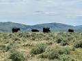 What is becoming more apparent is that we must be diligent market participants, fixated on securing a profit and cannot be rattled and upended by every head fake the market makes. (DTN photo by ShayLe Stewart)