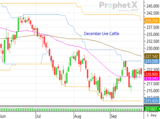 If support doesn't arise soon in the cattle complex, the spot December live cattle contract may be pressured to trade below its 40-day moving average. (DTN ProphetX chart)