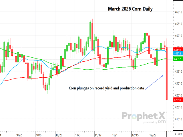 This chart reflects the Monday plunge in spot March corn futures following the shocking reveal of rising and record yield and U.S. production estimates from USDA. (DTN ProphetX chart)