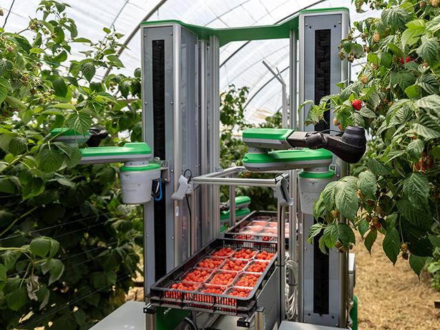 Fieldwork Robotics is bringing an autonomous harvest to soft fruits. Its chairman, Seth Crawford is confident ag tech such as this is important to overcome labor shortages. But Crawford is surprised that ag tech isn't always well adapted on the farm level. (DTN image courtesy of Fieldwork Robotics)