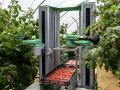 Fieldwork Robotics is bringing an autonomous harvest to soft fruits. Its chairman, Seth Crawford is confident ag tech such as this is important to overcome labor shortages. But Crawford is surprised that ag tech isn't always well adapted on the farm level. (DTN image courtesy of Fieldwork Robotics)