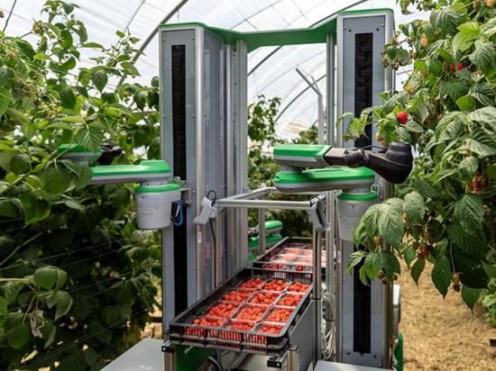Fieldwork Robotics is bringing an autonomous harvest to soft fruits. Its chairman, Seth Crawford is confident ag tech such as this is important to overcome labor shortages. But Crawford is surprised that ag tech isn't always well adapted on the farm level. (DTN image courtesy of Fieldwork Robotics)
