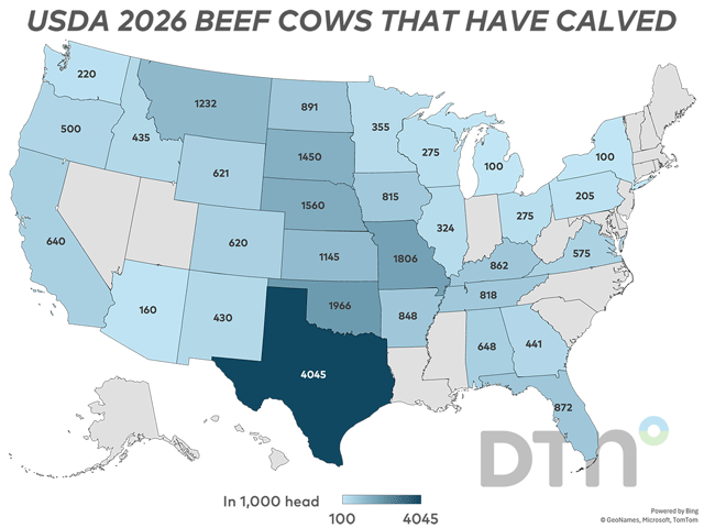 All beef cows and heifers that have calved as of Jan. 1, 2026, at 27.6 million head, were down 1% from a year ago, USDA NASS said in its biannual Cattle report on Friday. This chart shows the number of beef cows that have calved by state. (USDA data; DTN map by Kathy Myers)
