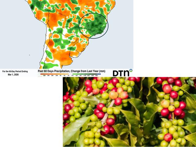Coffee production in Brazil is forecast to reach a new record. A big factor is 16-20 inches more rain in the last two months compared to a year ago in Minas Gerais, Brazil's top coffee production state. (DTN and Brazil 247 graphics)