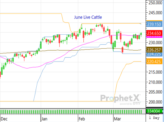 Traders helped drive the cattle contracts higher Monday, but they'll keep an eye out to see if fundamental support develops later in the week. (DTN chart by ProphetX)