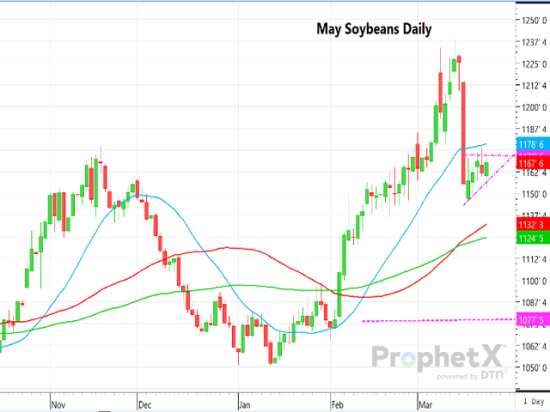 This is a daily chart of May soybean futures showing the bear flag pattern. (DTN ProphetX chart)
