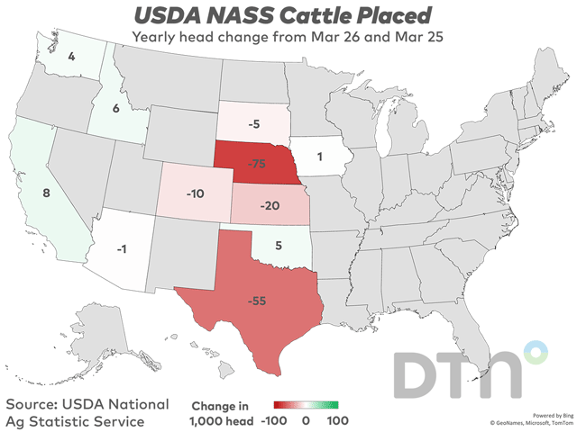 This chart shows the change in cattle placements by head for individual states from March 2025 to March 2026, based on USDA NASS data. (DTN chart by Kathy Myers)