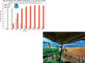 El Nino probabilities are very high from midsummer 2026 through the end of the year. The top three Super El Nino years all featured large U.S. corn production. (NOAA Climate Prediction Center graphic; DTN file photo)