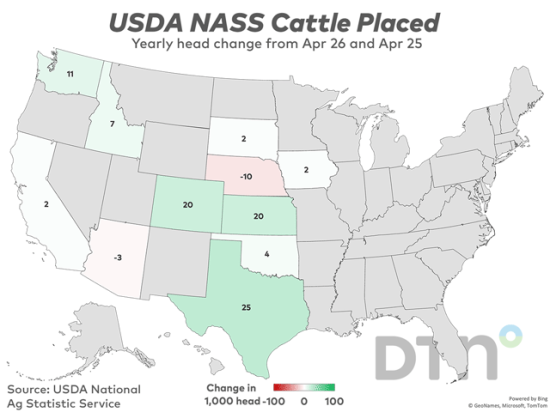 This chart shows the change in the number of head of cattle placed by state from April 2025 to April 2026, based on USDA NASS data. Total placements in feedlots during April totaled 1.70 million head, 6% above 2025. (DTN chart by Kathy Myers)