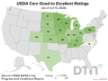 This map shows corn condition ratings by state, according to USDA NASS estimates released Monday. (DTN graphic by Kathy Myers)
