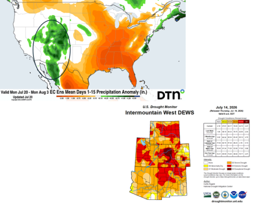 More than 90% of the Intermountain West is in drought, according to the mid-July U.S. Drought Monitor. Forecast models call for much above-normal precipitation through the end of July, offering some drought easing during late summer and autumn. (Drought Monitor and DTN graphics)