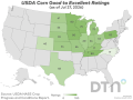 This map shows good-to-excellent condition ratings for corn by state, according to USDA NASS estimates released Monday. Nationwide, the corn crop was rated 63% in good-to-excellent condition, down 4 percentage points from 67% the previous week. (DTN graphic by Kathy Myers)