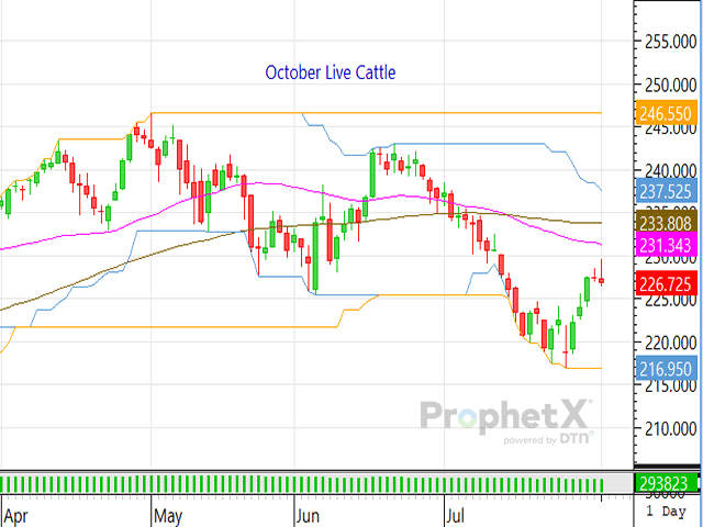 The cattle complex hopes to see more support and stability in August. (DTN ProphetX chart)