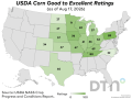 This map shows good-to-excellent condition ratings for corn by state, according to USDA NASS estimates released Monday. Nationwide, the corn crop was rated 60% in good-to-excellent condition, down 1 percentage point from 61% the previous week. (DTN graphic by Kathy Myers)