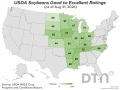 This map shows good-to-excellent condition ratings for soybeans by state, according to USDA NASS estimates released Monday. Nationwide, the soybean crop was rated 58% in good-to-excellent condition, down 2 percentage points from 60% the previous week. (DTN graphic by Kathy Myers)