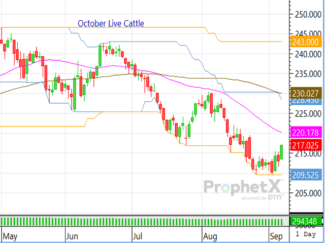 Traders have been pushing the live cattle and feeder cattle contracts higher, but will the contracts be able to overcome the pressure at the 40-day moving average? (DTN chart by DTN ProphetX)